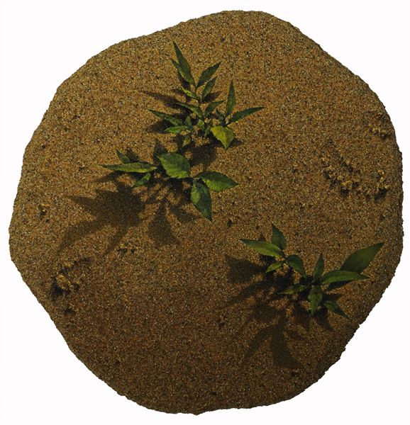 Affordable Art Fair Seoul 5