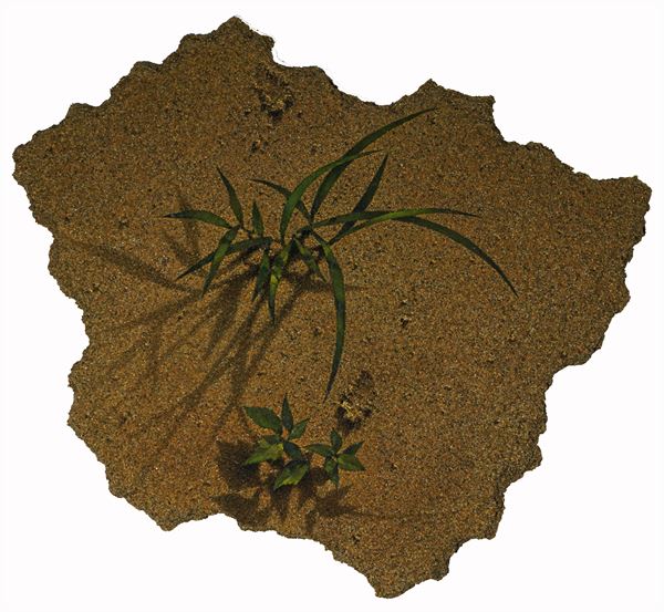 Affordable Art Fair Seoul 6