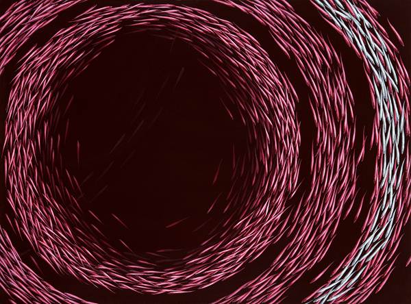 제 9 회 한국현대미술제 (KCAF)