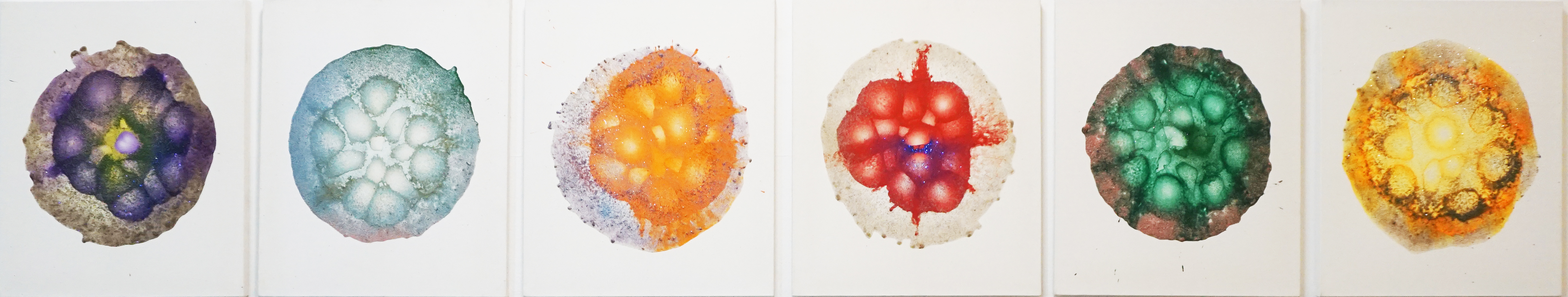 황호섭 19전시06