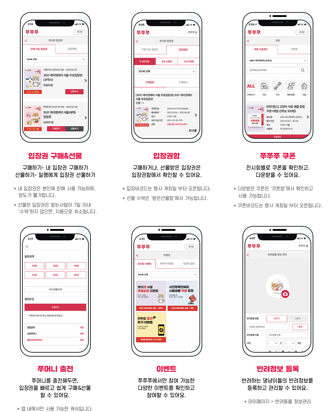 zuzuzu_guide_2021_pc