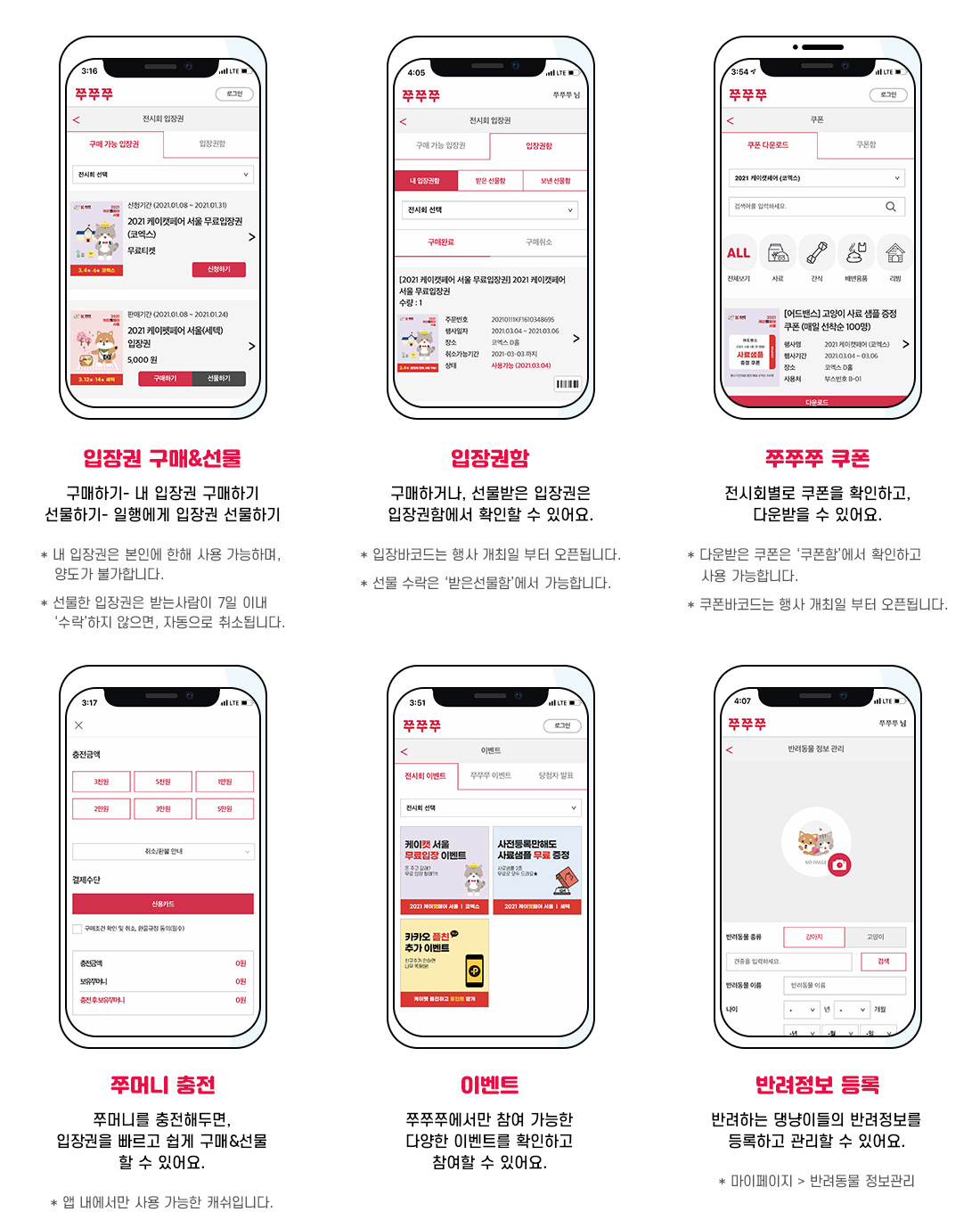zuzuzu_guide_2021_pc2