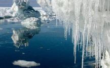 © Jerzy SmyklaSummer sea ice