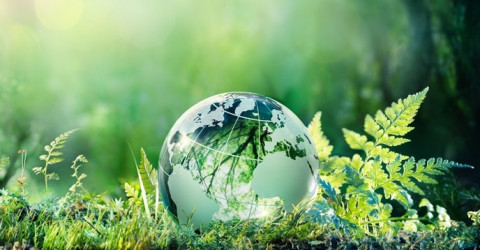 GettyImages/Romolo Tavan