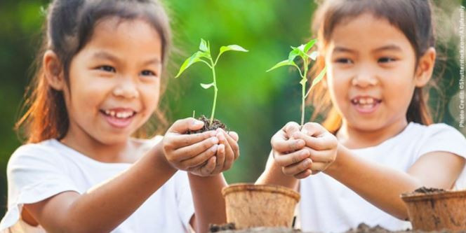 ⓒ Shutterstock.com