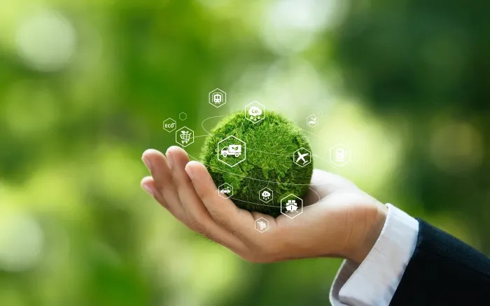 © Deemerwha studio/Shutterstock.com