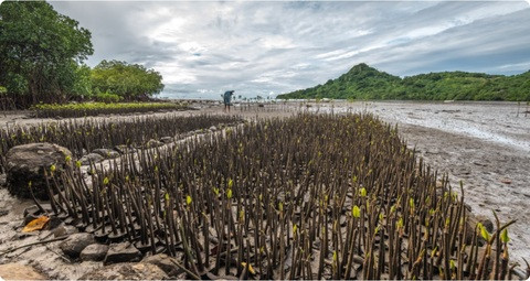 ©Tom Vierus / Climate Visuals