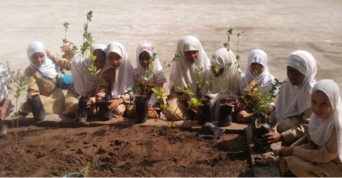 © Yemeni National Commission for UNESCO/sub-unit in Hodeidah City