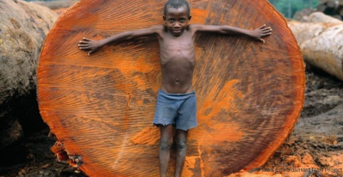 © Mark Edwards/Hard Rain Project