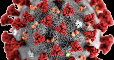 دراسة تكشف تأثيرات "كوفيد 19"على أهداف التنمية المستدامة