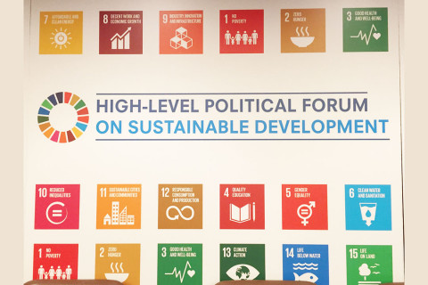 ⓒ IISD / Lynn Wagner