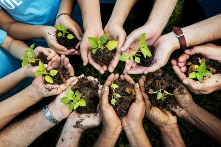 ⓒ Rawpixel.com/Shuttersock.com