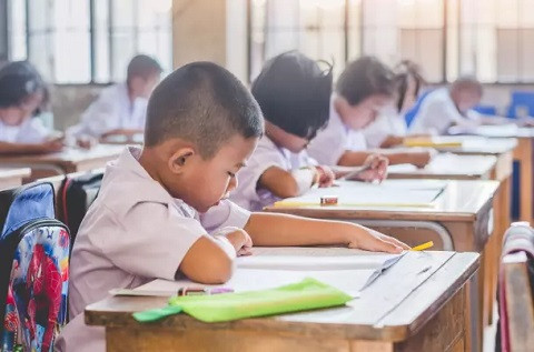 © Cat Act Art/Shutterstock.com