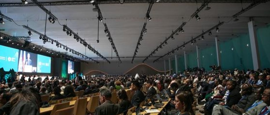 © UNFCCC/Kiara Worth