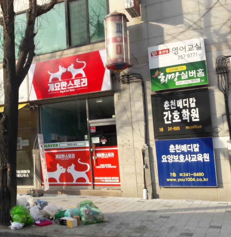 춘천메디칼간호학원