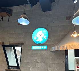 약지애견미용학원 사진 2