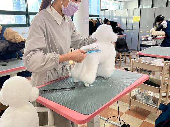 정애견미용학원 김해점 학원 대표 이미지