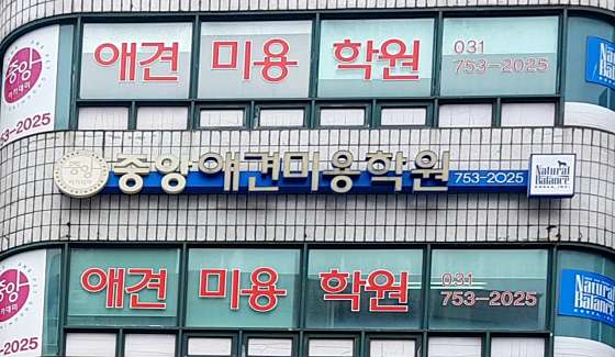 중앙애견미용학원 성남모란점