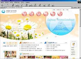 안정플로리스트종합예술학원 사진 2