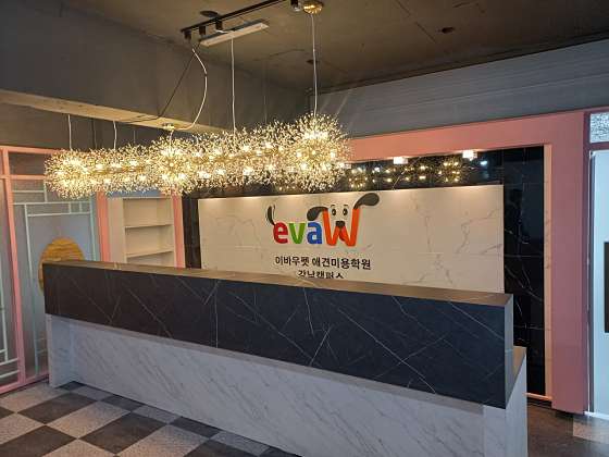 이바우펫애견미용학원 강남아카데미 학원 대표 이미지