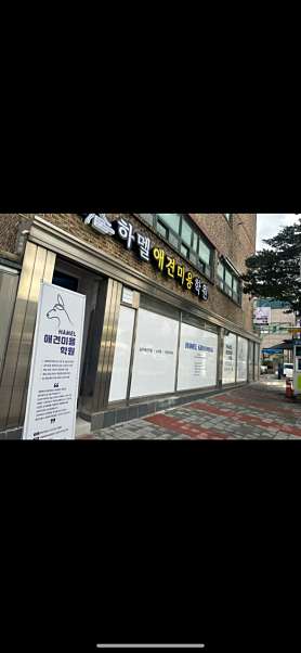 하멜애견미용학원 사진 4