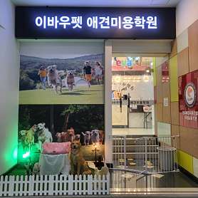 이바우펫애견미용학원 수원아카데미 사진 5