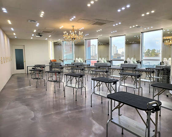 에브리독애견미용학원