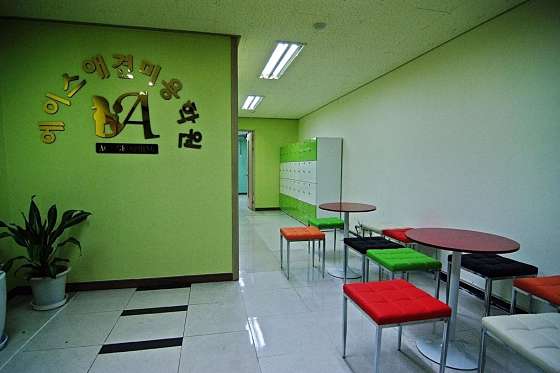 에이스애견미용학원