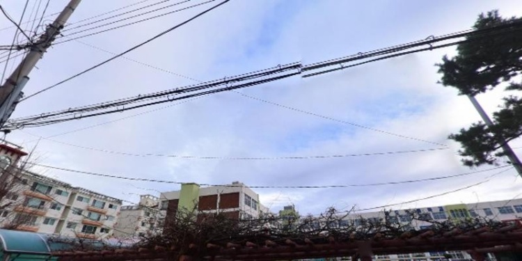 차니피아노