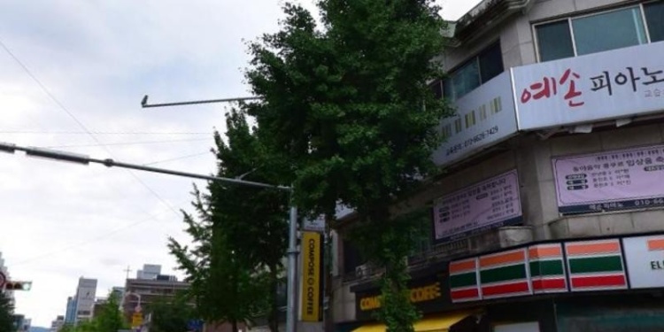예손피아노교습소 대표 이미지