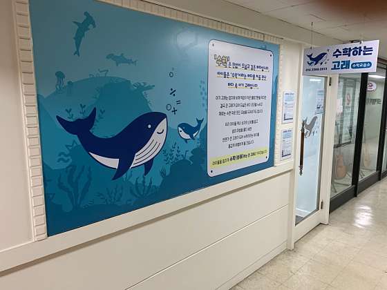 수학하는고래 학원 대표 이미지