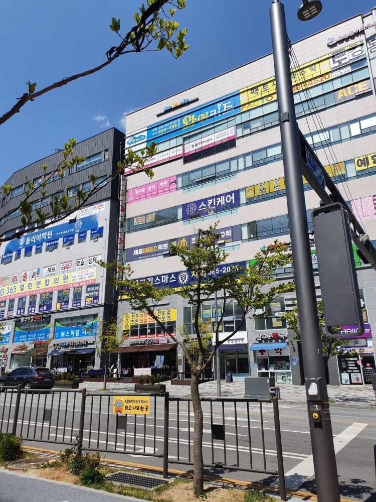 와이키즈 세종센터학원 대표 이미지