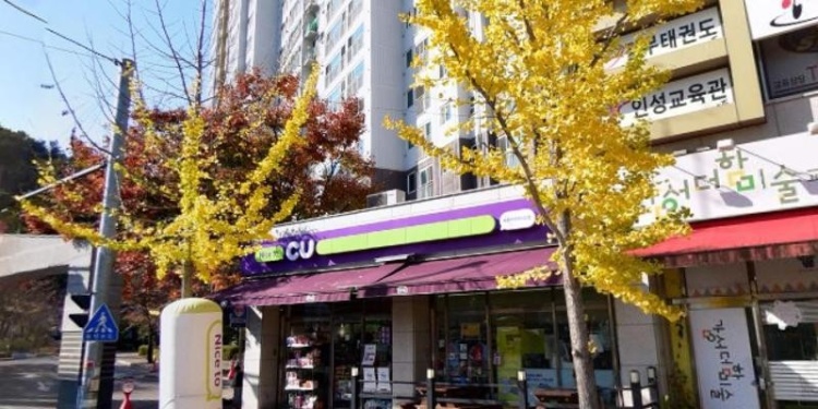 감성더함미술교습소 대표 이미지