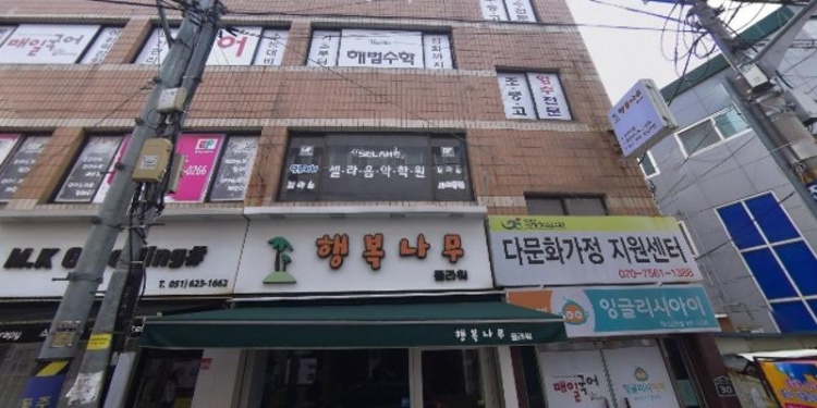 셀라음악학원 대표 이미지