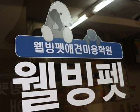 웰빙펫애견미용학원