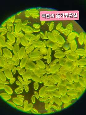 안성 하연과학 사진 3