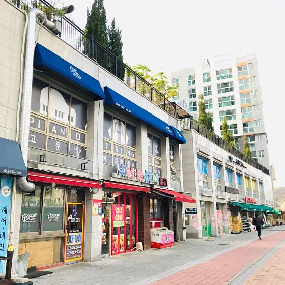 고운향기음악학원 대표 이미지