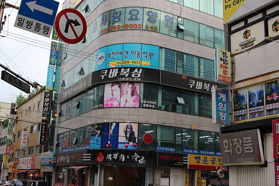 부천애견미용학원 대표 이미지