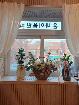 윤바이올린 사진 5