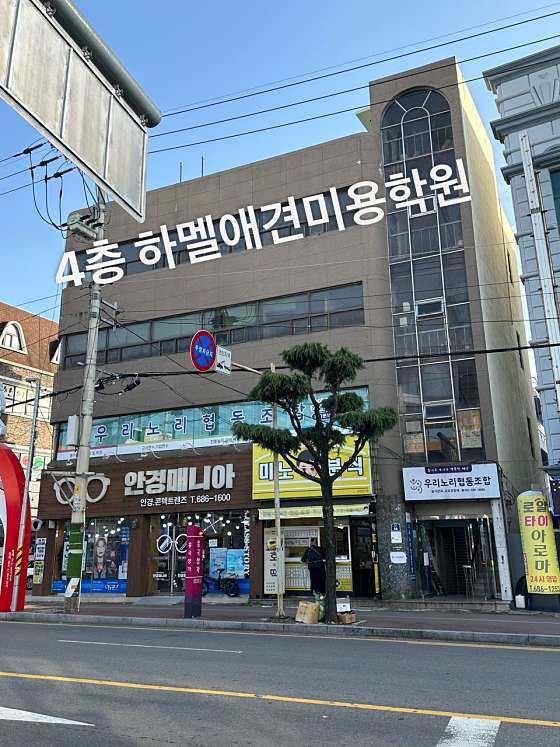 하멜애견미용학원 대표 이미지