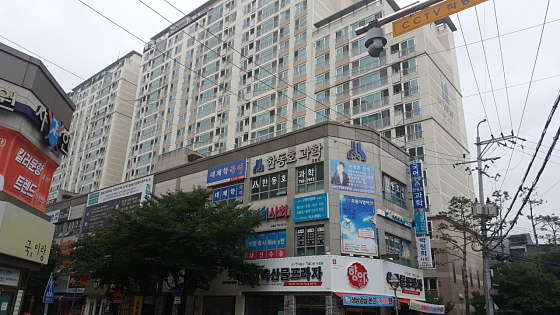 박정희사회 사진 3