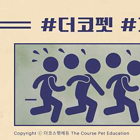 더코스펫에듀 프로 학원 사진 4