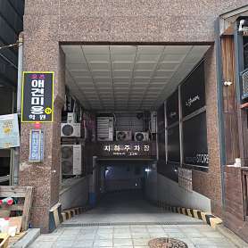 오즈애견미용학원 사진 3