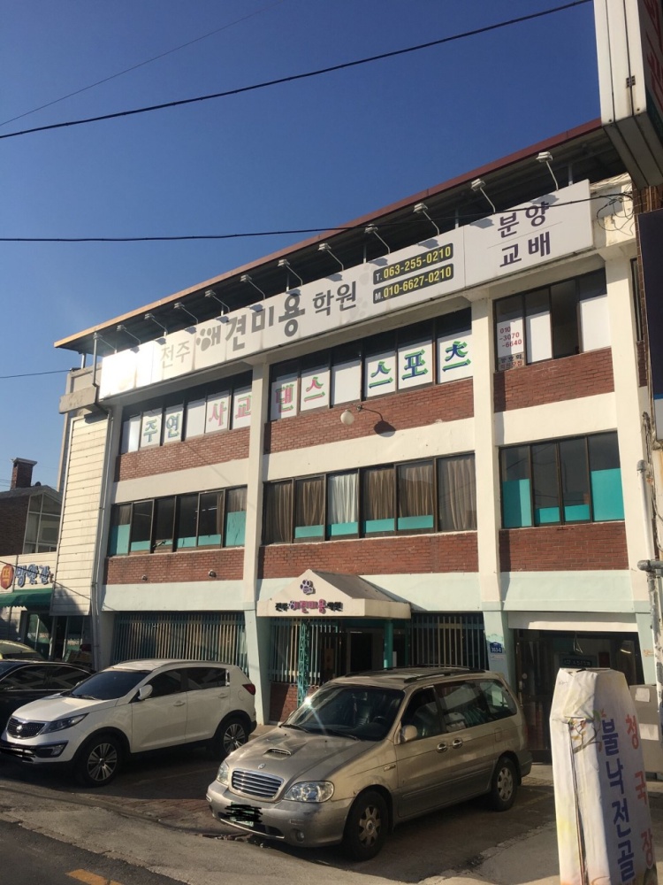 전주애견미용학원 대표 이미지