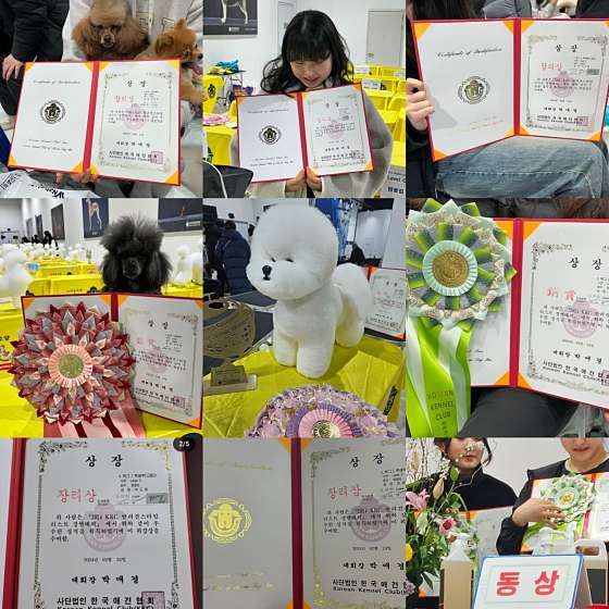 쿨펫애견미용학원 수원점