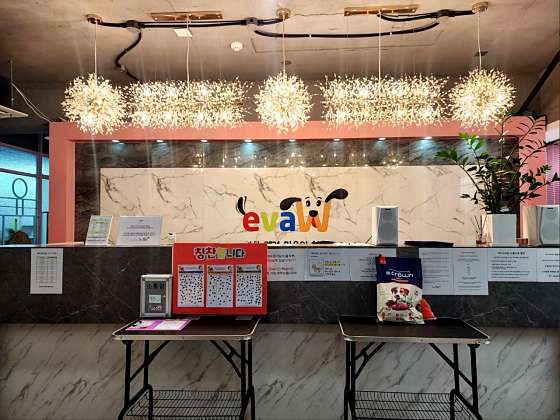 이바우펫애견미용학원 부산아카데미