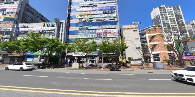 유채미술학원 대표 이미지