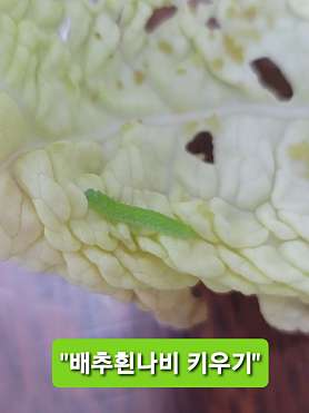 안성 하연과학 사진 5