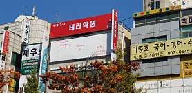 테라학원 사진 3