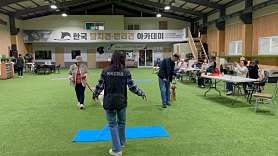 한국탐지견반려견아카데미 사진 3